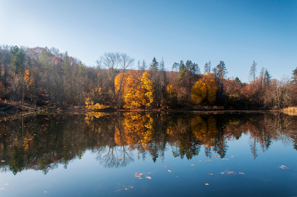 A lake within Tarrywile State park in Danbury Connecticut on a sunny autumn day.